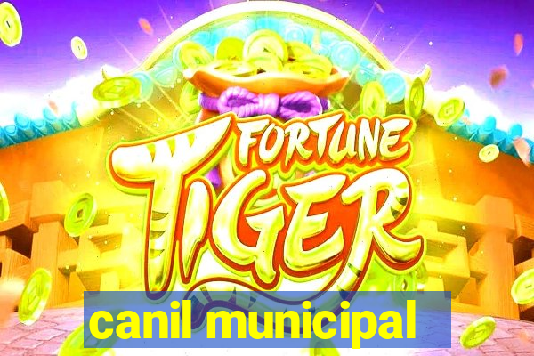 canil municipal